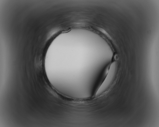 X0000082981450200703020246