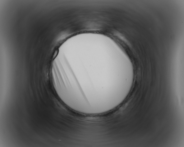 X0000082981451200703020246