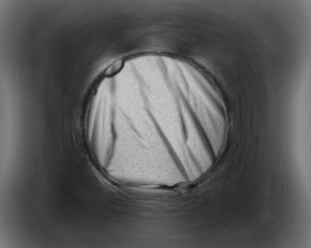X0000082981452200703020246