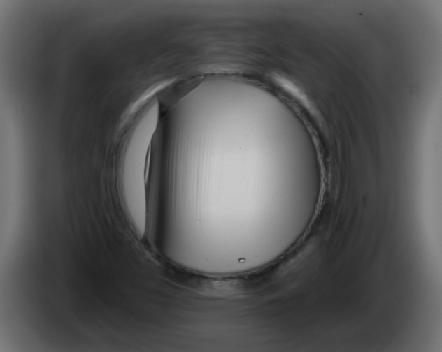 X0000082981453200703020246