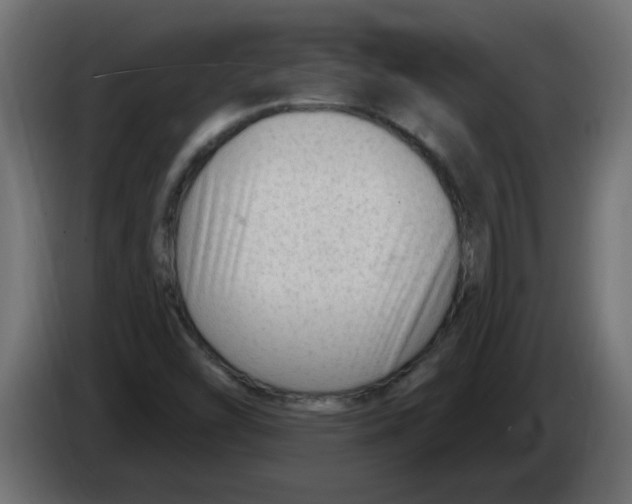 X0000082981454200703020246