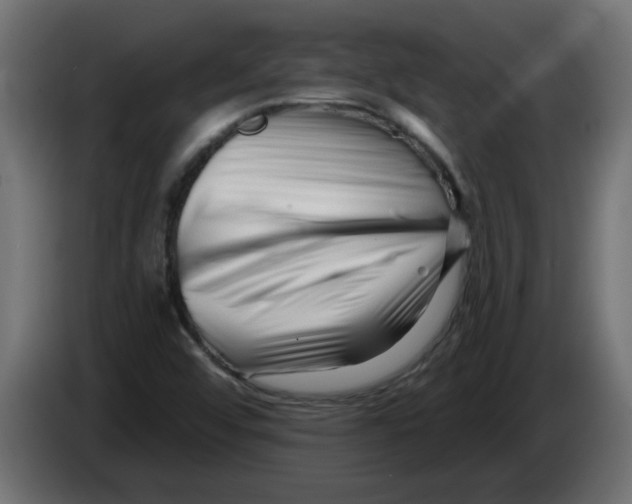 X0000082981456200703020246