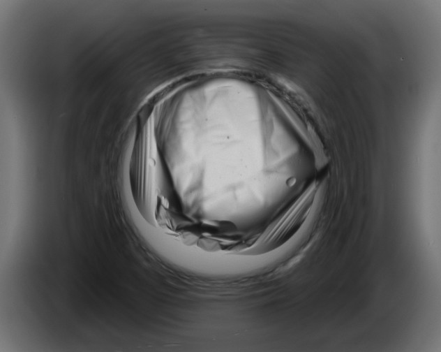 X0000082981457200703020246