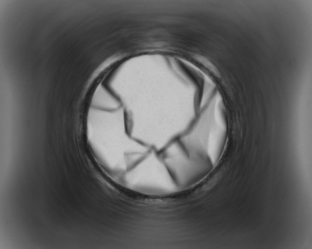 X0000082981458200703020246