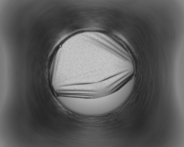 X0000082981460200703020246