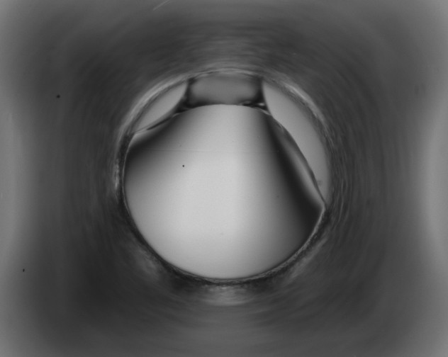 X0000082981461200703020246