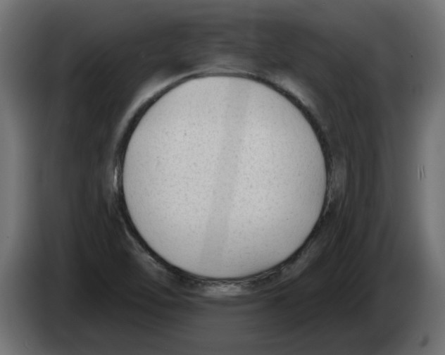 X0000082981462200703020246