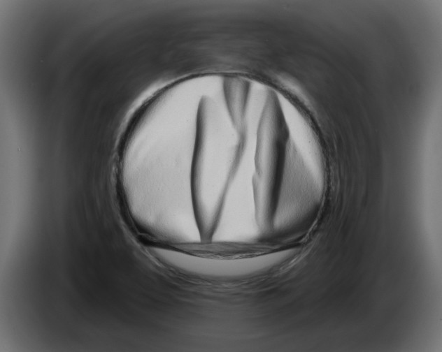 X0000082981463200703020246