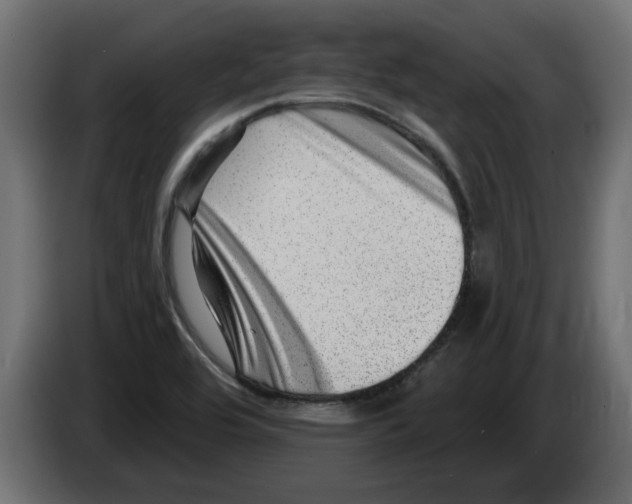 X0000082981464200703020246