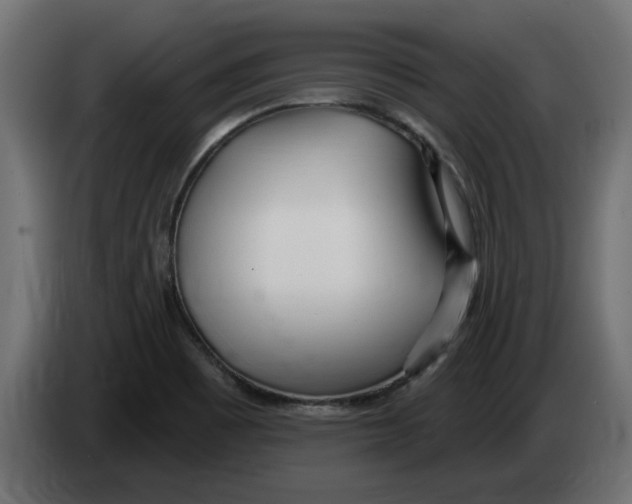 X0000082981465200703020246