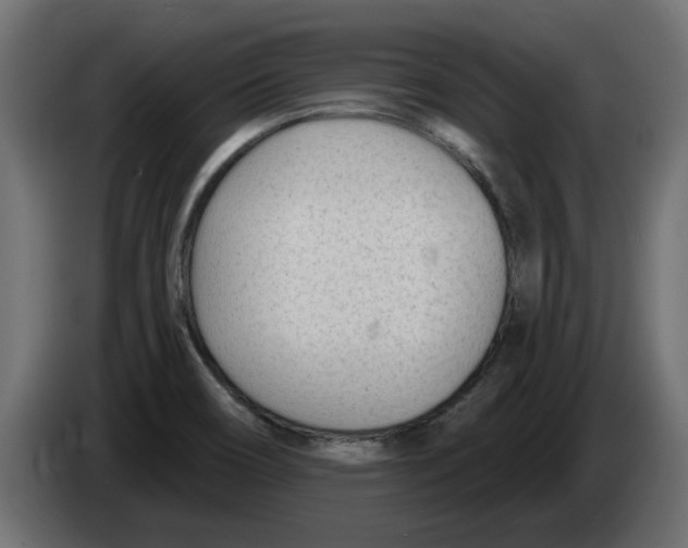 X0000082981466200703020246