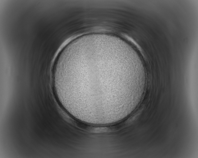 X0000082981467200703020246