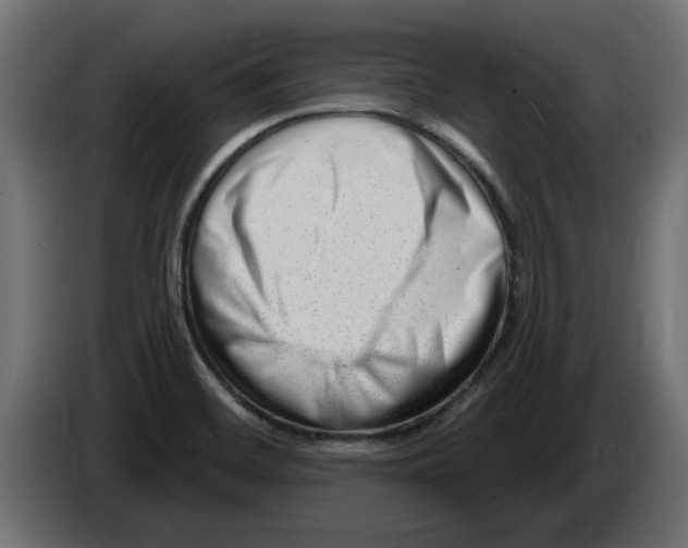 X0000082981468200703020246