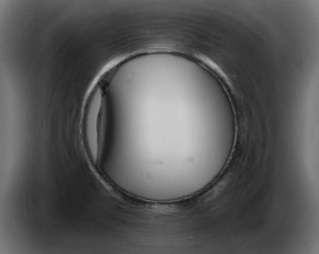 X0000082981469200703020246