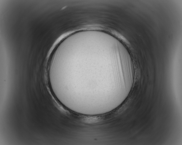 X0000082981470200703020246