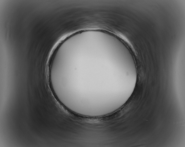 X0000082981472200703020246