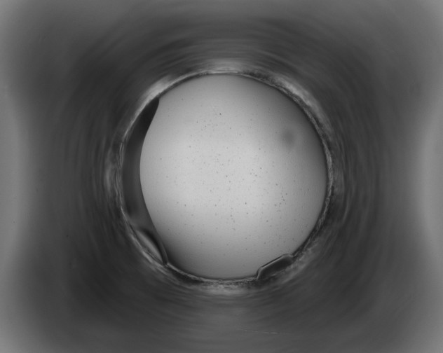 X0000082981473200703020246