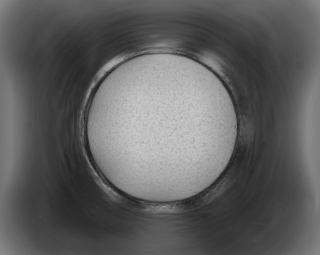 X0000082981474200703020246