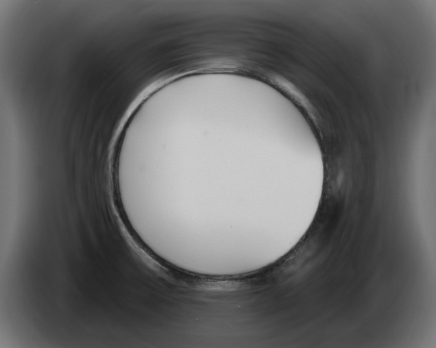 X0000082981475200703020246