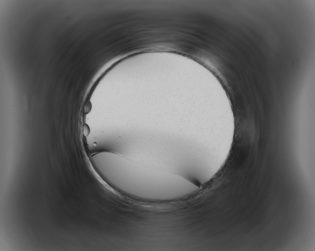X0000082981476200703020246