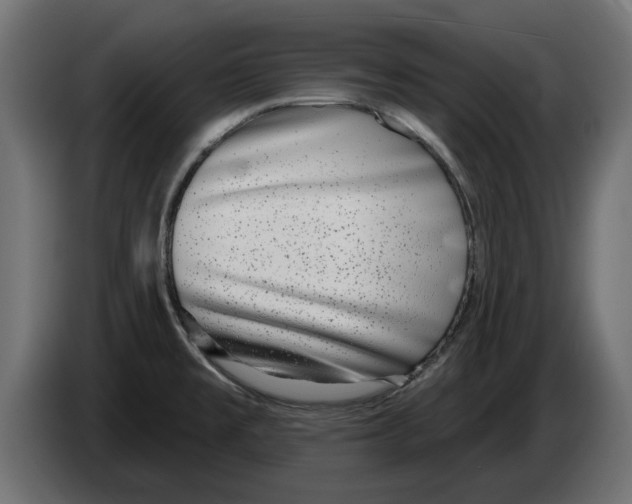 X0000082981477200703020245