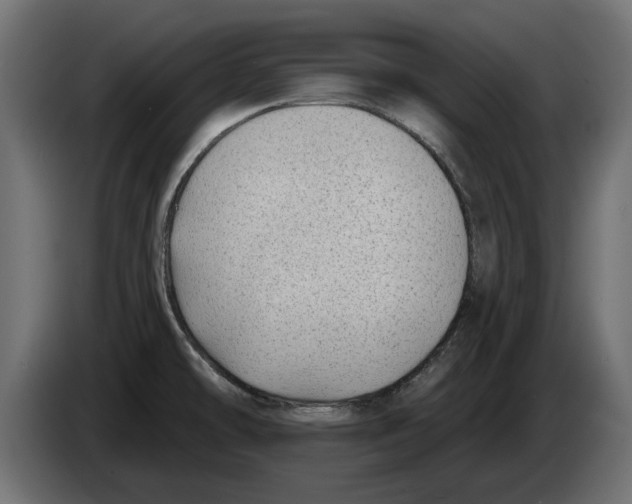 X0000082981478200703020245