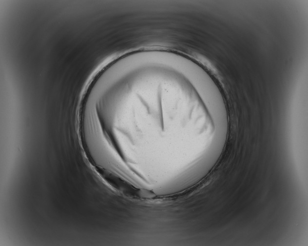 X0000082981480200703020245
