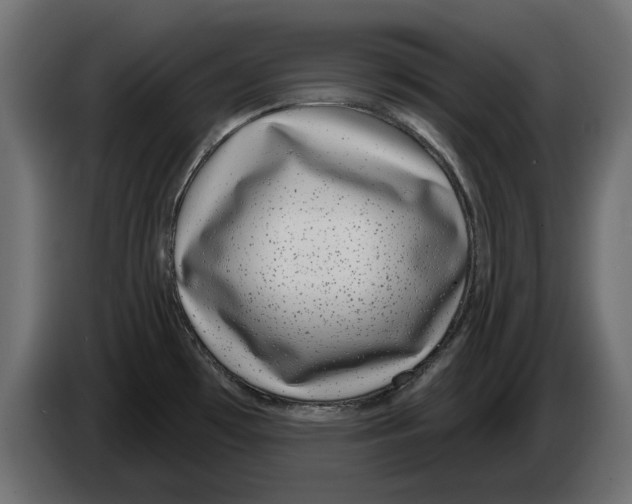 X0000082981481200703020245