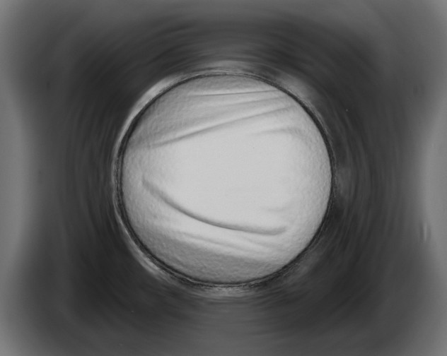 X0000082981482200703020245