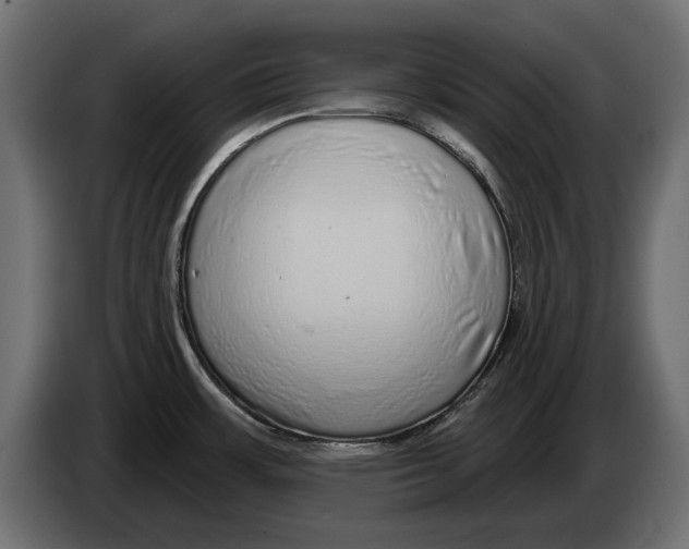 X0000082981483200703020245