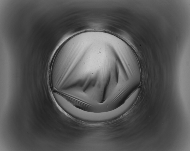X0000082981484200703020245