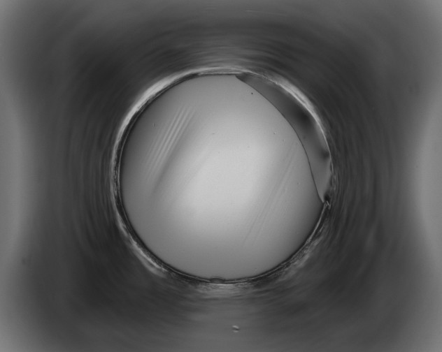 X0000082981485200703020245