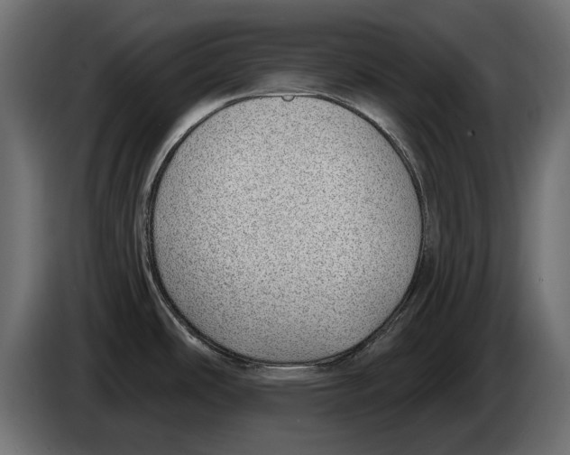 X0000082981486200703020245