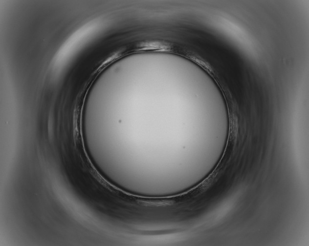 X0000082981487200703020245