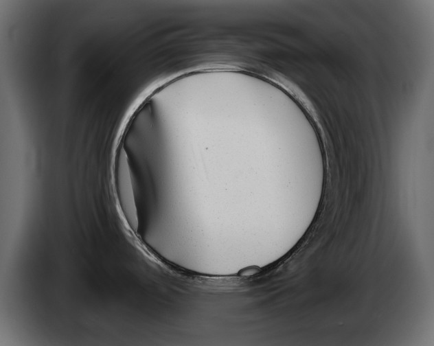 X0000082981488200703020245