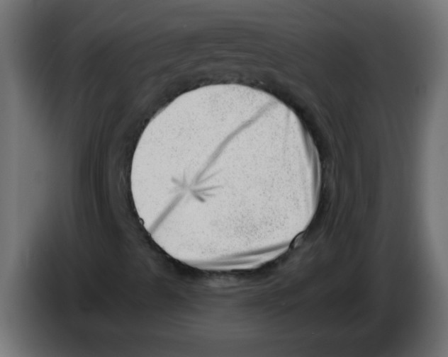 X0000082981489200703020245