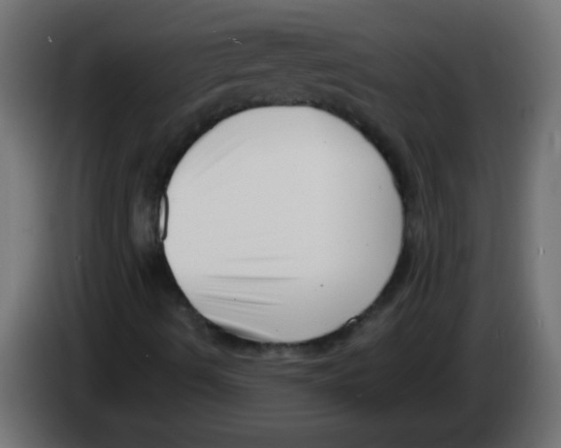 X0000082981490200703020245