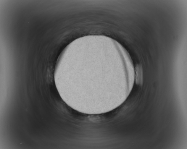 X0000082981491200703020245