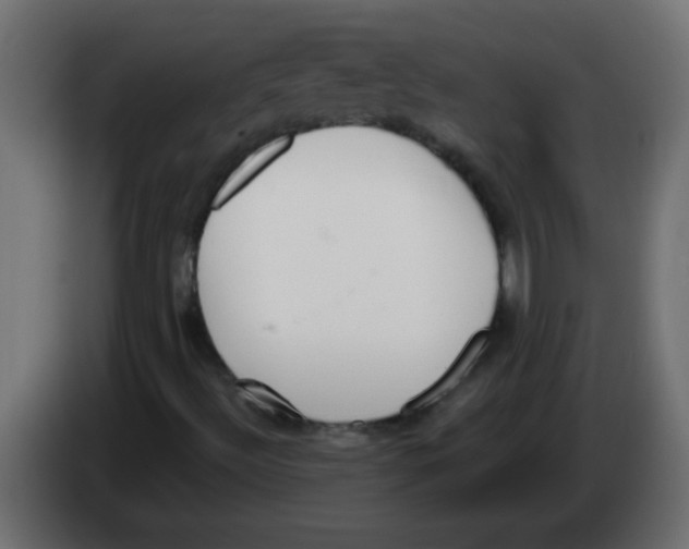 X0000082981492200703020245