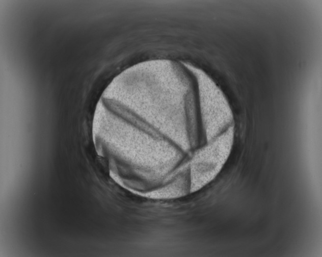 X0000082981493200703020245