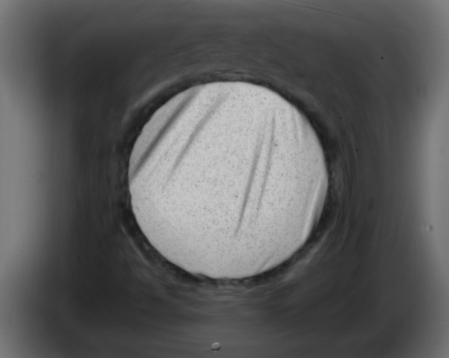 X0000082981494200703020245