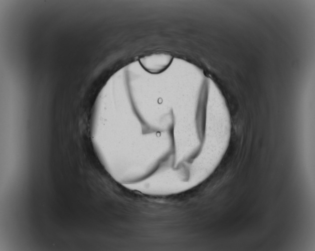 X0000082981495200703020245