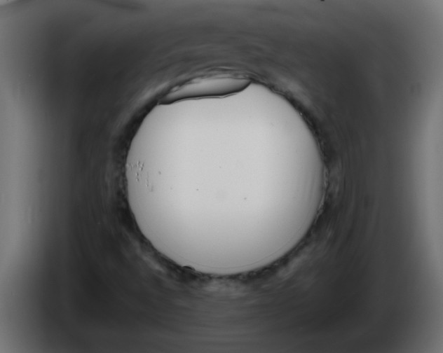 X0000082981496200703020245