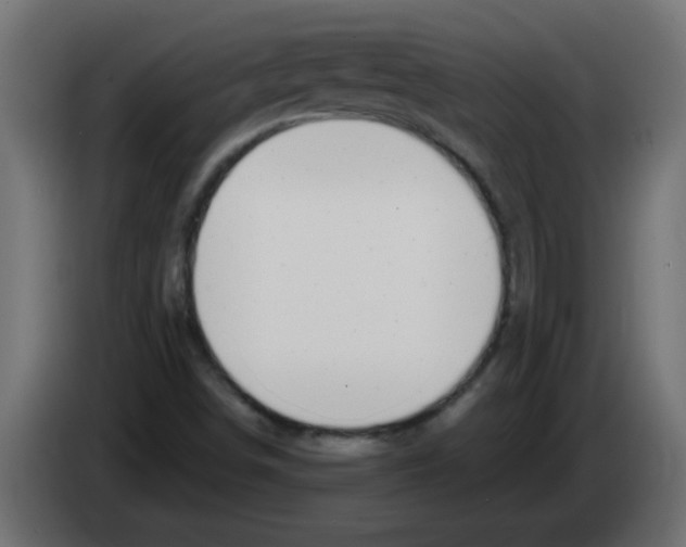 X0000082981498200703020245
