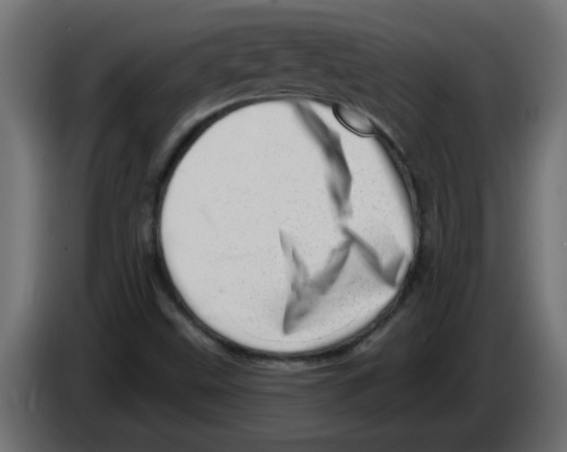 X0000082981499200703020245