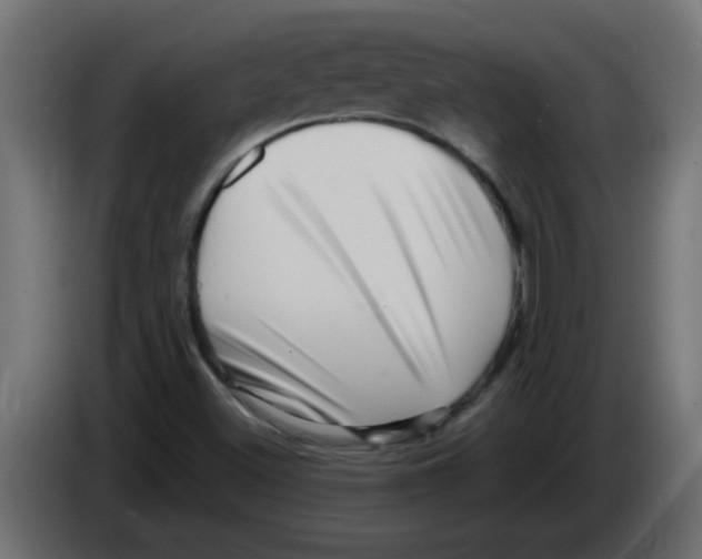 X0000082981500200703020245
