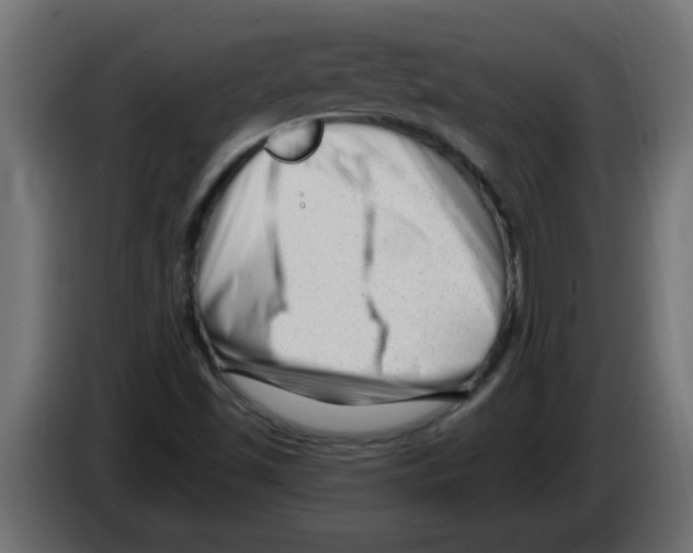 X0000082981501200703020245