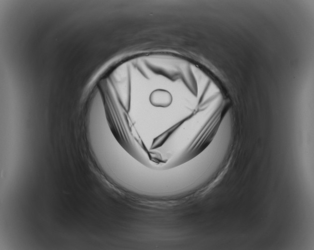 X0000082981502200703020245