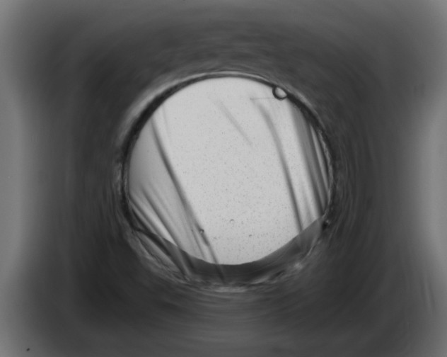 X0000082981503200703020245