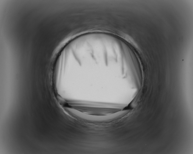 X0000082981504200703020245